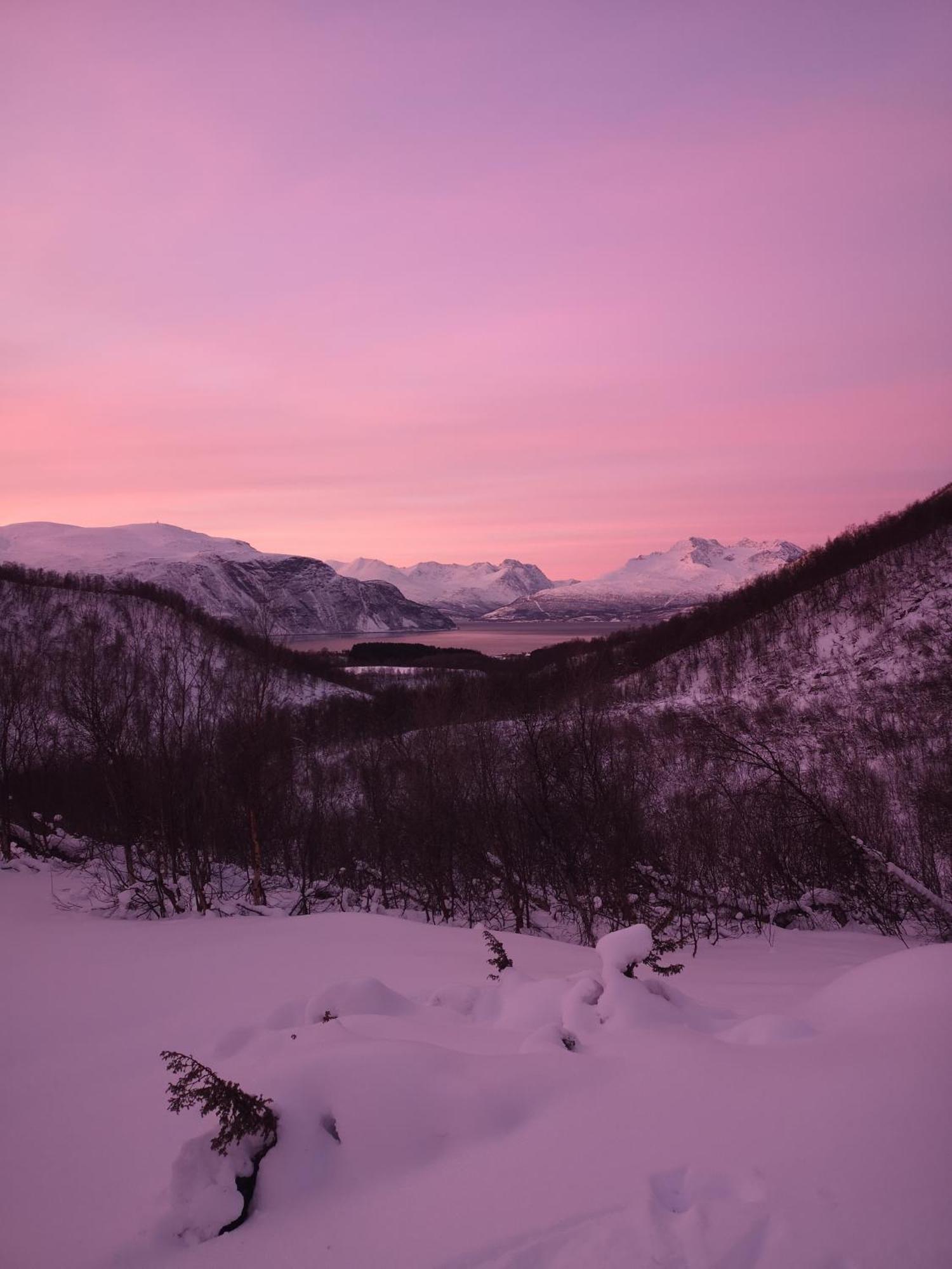 Best No1 Manndalen Dış mekan fotoğraf